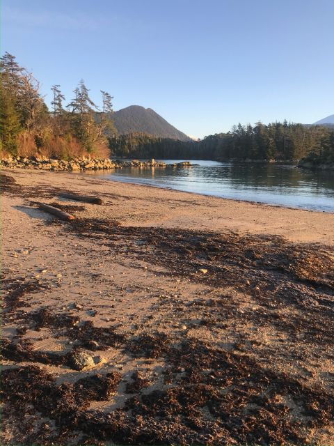 The BEST Sitka Tours and Things to Do - Scenic Cruises and Boat Tours in Sitka