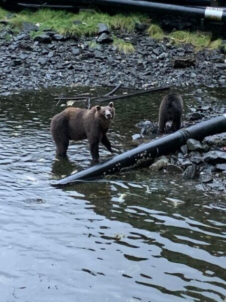 The BEST Sitka Tours and Things to Do - Fishing Experiences in Sitka
