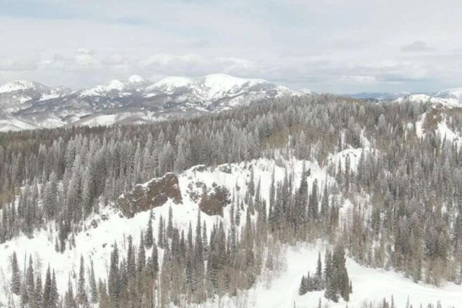 The BEST Steamboat Springs Tours and Things to Do - Exciting Dog Sledding Experiences