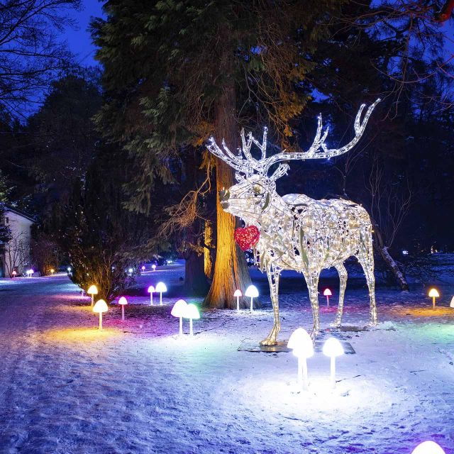 The BEST Styria Tours and Things to Do - Outdoor Adventures in Styria