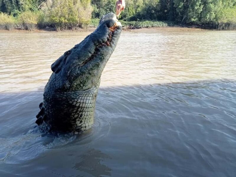 The best tour of Litchfield and crocodiles on the river - FAQs