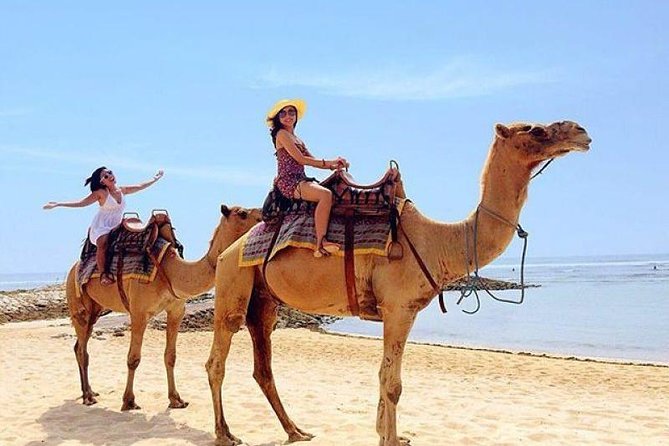The Best Trip With Camel Safari 30 Minutes in White Sand Beach - Booking Information
