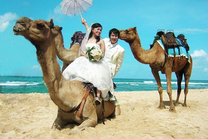 The Best Trip With Camel Safari 30 Minutes in White Sand Beach - Experience Highlights