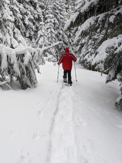 The BEST Westendorf, Austria Tours and Things to Do - Ranking Factors for GetYourGuide Activities