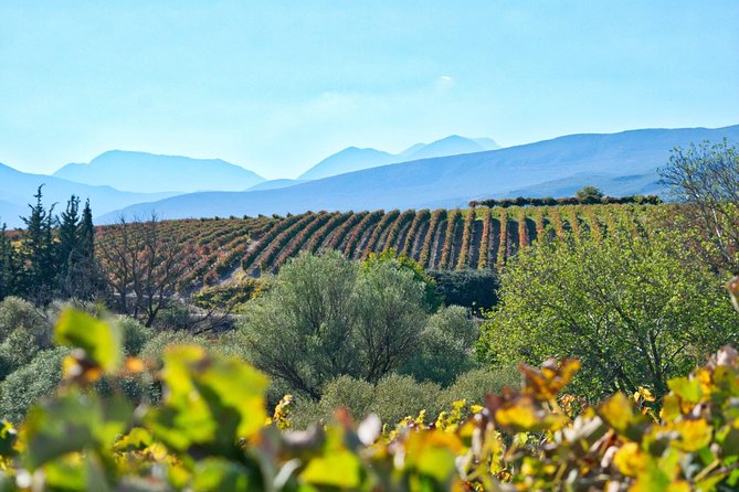 The Best Winery & Tasting Tour in Nemea.Enjoy a Unique All Day Wine Tasting Tour - Tour Duration and Pickup Service