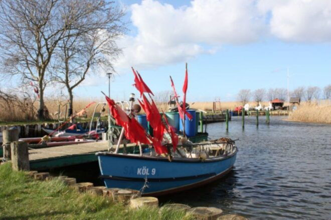 The BEST Zinnowitz Tours and Things to Do - Highlights-Tour