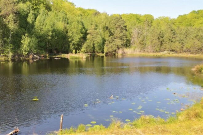 The BEST Zinnowitz Tours and Things to Do - Unique Experiences in Zinnowitz