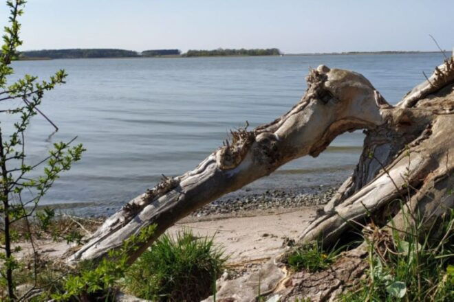 The BEST Zinnowitz Tours and Things to Do - Common Questions