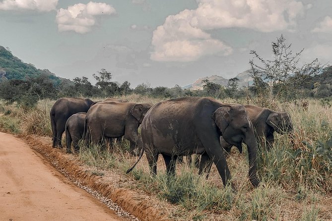 The Big 5 in Southern Coast Season (7 Days) - Must-Visit Cultural Sites