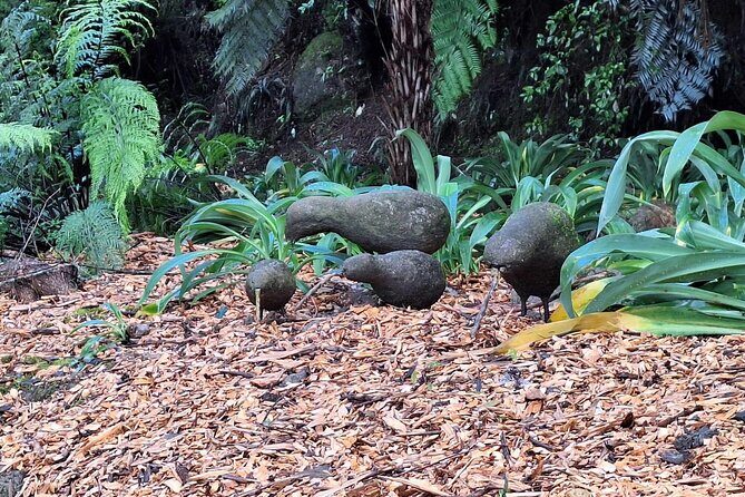 The Big Bay Tour with Te Puna Sculpture garden and Minden Views - The Sum Up: Is It Worth It?