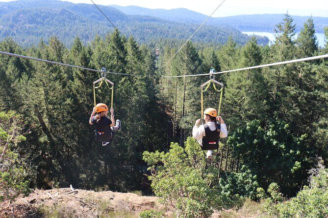 The Big Zip Experience - An In-Depth Look at The Big Zip Experience