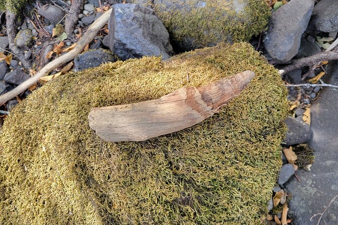 The Bigfoot Tour in Oregon - Additional Information