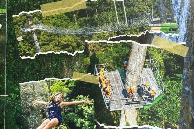 The Biggest and longest Zipline, Hawk, Koh Samui - Who Should Consider This Zipline Tour?