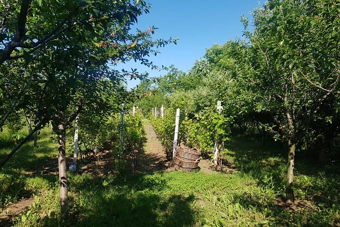 The Biggest Salt Mine in Europe and the Carpathian Authentic Villages - Village Life Experience in Carpathians