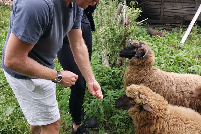 The Biggest Salt Mine in Europe and the Carpathian Authentic Villages - Reviews and Guest Feedback