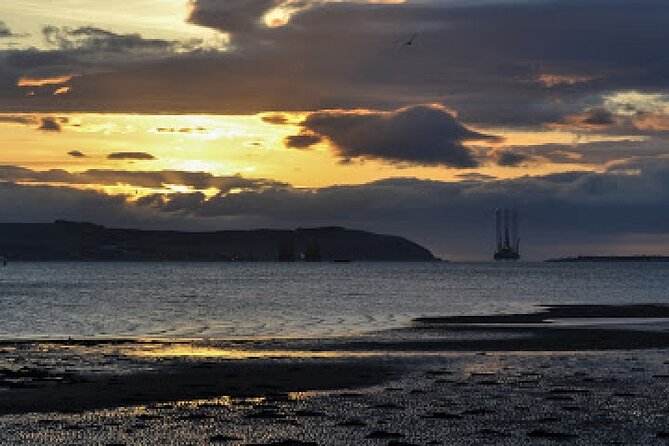 The Black Isle - Wildlife