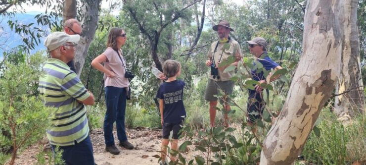 The Blue Mountains Small Group Insider Tour - Inclusions and Pickup Details