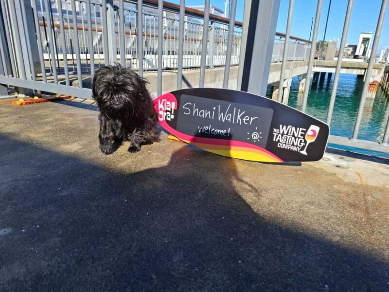 The Boutique Experience: Waiheke Island Best Cellar Tour - Practical Information and FAQs