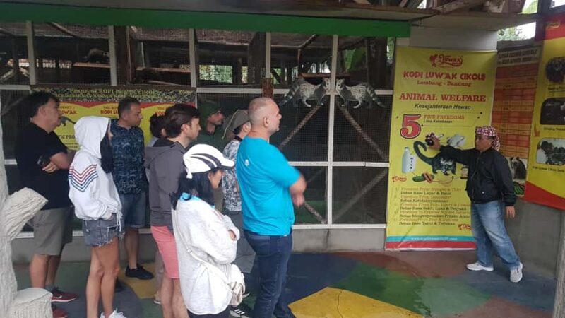 The Breathtaking Views Of The Countryside In Bandung - Exploring Bandung’s Countryside: An In-Depth Review