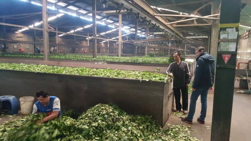 The Breathtaking Views Of The Countryside In Bandung - The Practicalities: What to Expect and Considerations