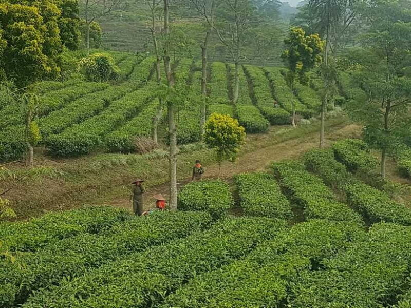 The Breathtaking Views Of The Countryside In Bandung - Final Thoughts: Who Will Benefit Most?