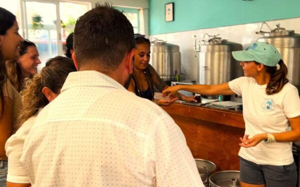 The Brew Tour - Cozumel - Frequently Asked Questions