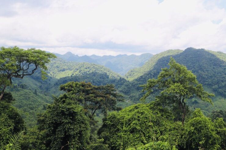 The Bru-Van Kieu Ethnic Minority at Rao Con Village - Traditional Livelihoods in Rao Con Village