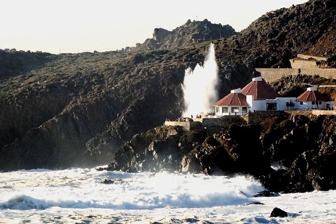 The Bufadora Tour in Baja California - Visit to La Bufadora