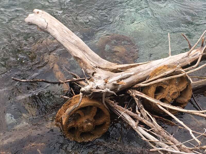 The Canmore HISTORY TOUR - Cowboys and Coal Miners 1.5H Walk - Reviews and Authentic Voices