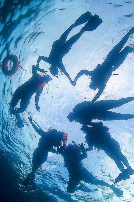 The Cape: Incredible Private Tour to Espiritu Santo - Included Experiences