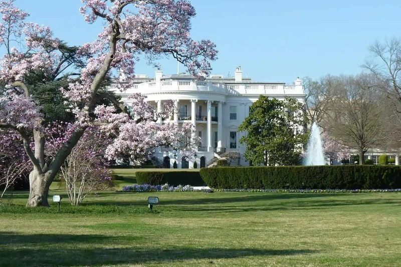 The Capitol Building, White House,& Memorials Half-Day Tour - A fast way to get your bearings in Washington