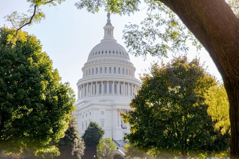 The Capitol Building, White House,& Memorials Half-Day Tour - Lincoln, World War II, and the memorial stops
