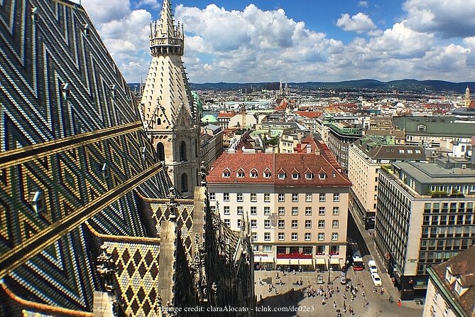 The Catacombs of St. Stephen's Cathedral: Private 2.5-hour Tour - Tour Overview and Details