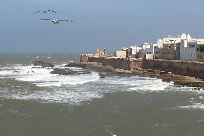 The Charms of Essaouira Mogador and the Argan Tree Forests - Exploring the UNESCO-listed Medina