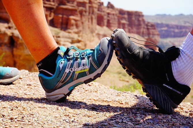 The Charyn River Canyons Adventure Tour - Authentic Insights from Reviewers