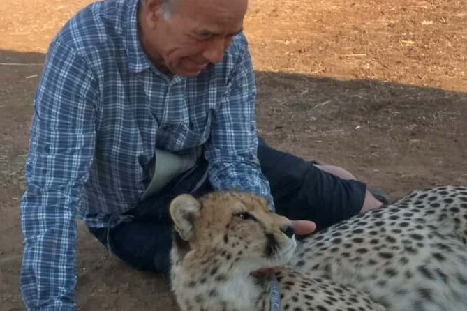 The Cheetah Experience - Good To Know