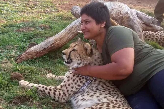 The Cheetah Experience - Reviews and Ratings