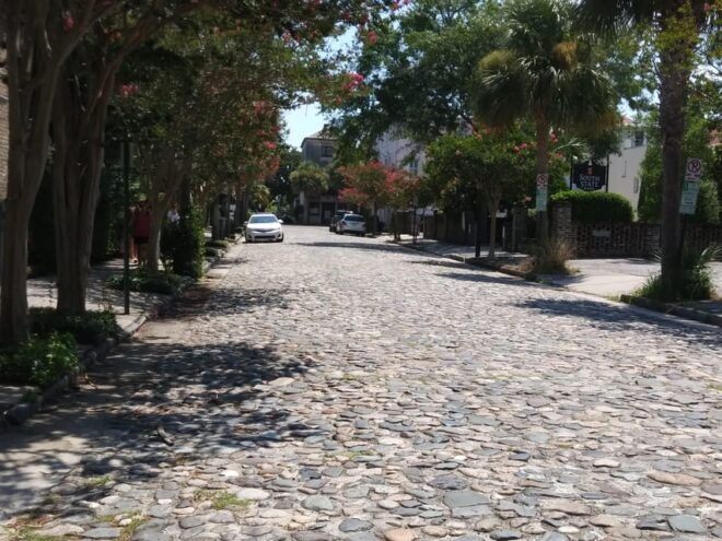 The Chicora Walk (History Walking Tour) - Inclusions