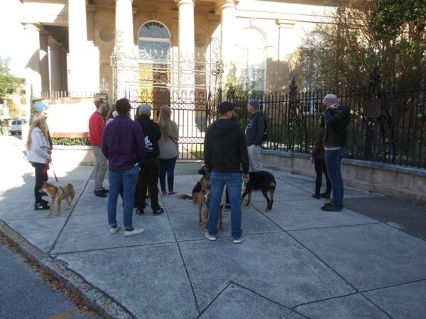 The Chicora Walk (History Walking Tour) - Tour Experience