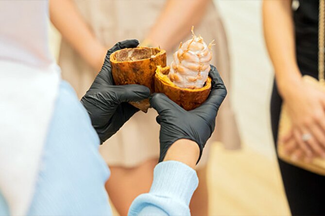 The Chocolate Wonderland Experience in Dubai With Site Tour - Meeting and Pickup Instructions