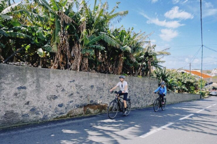 The Churchill Tour" - From Funchal to Câmara De Lobos - Tour Overview
