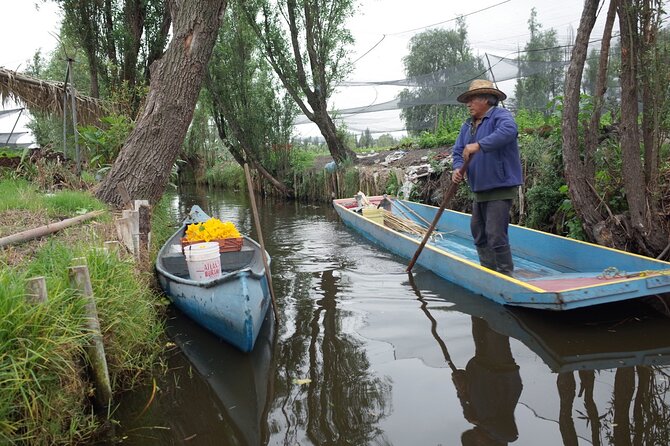 The City Green Exploring the Urban Eco Reserve of Xochimilco - Unique Flora and Fauna in the Urban Eco Reserve