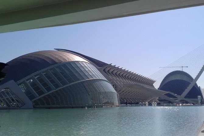 The City of Arts and Sciences in Valencia - Common Questions