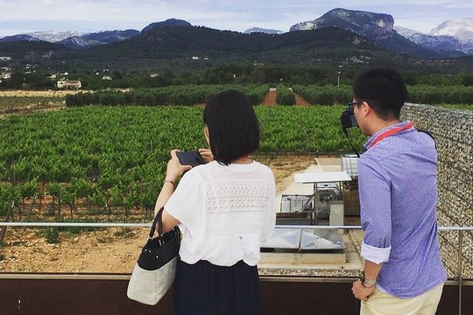 The Clasta Mallorca Wine Tours - Tour Overview and Details
