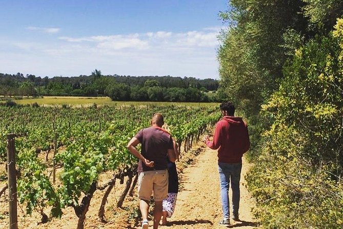 The Clasta Mallorca Wine Tours - Reviews