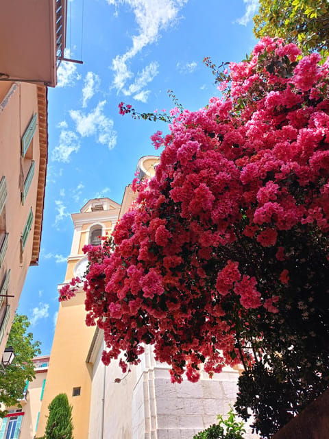 The Coastal Path Hike From Nice to Villefranche - What to Bring