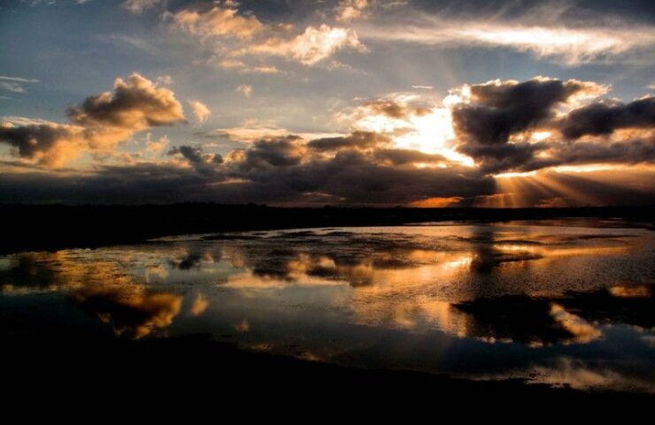 The Colors of Ria Formosa: Sunset Boat Trip in Faro - Experience Highlights