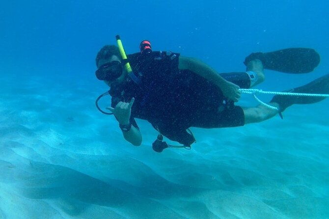 The Combo - Exploring the Big Island’s Underwater World: What to Expect