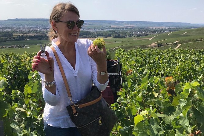 The Connoisseurs From Epernay (Private Champagne Tour) - Champagne Tastings and Experiences
