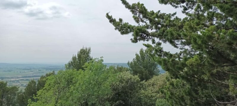 The Côtes du Rhône wine route by electric bike - Good To Know